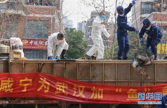 3月13日，一批運到湖北省武漢市硚口區(qū)華生漢口城市廣場社區(qū)的活魚在卸貨。當(dāng)日，首批100噸調(diào)配自咸寧市的活魚運抵武漢市硚口區(qū)11個街道下轄社區(qū)。 新華社記者 程敏 攝